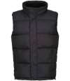 RG449 TRA898 Regatta Northdale Insulated Bodywarmer Black colour image